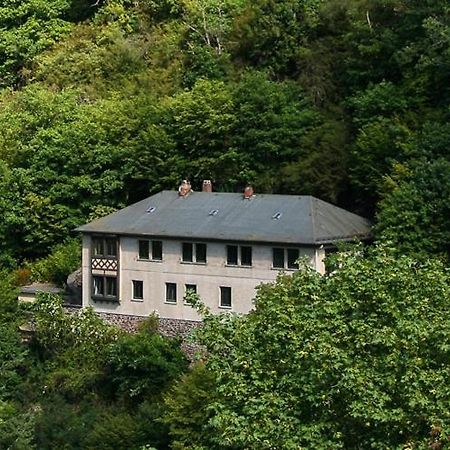 Haus Am Berg Villa Bad Bertrich Exterior photo