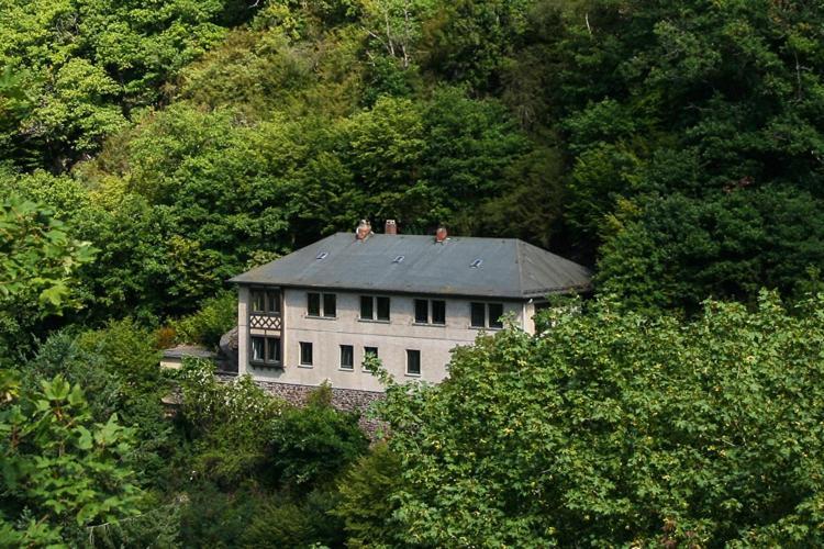 Haus Am Berg Villa Bad Bertrich Exterior photo